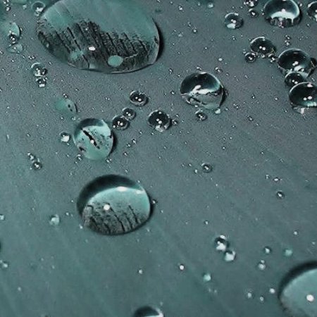 rainwater_on_leafblue