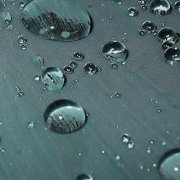 rainwater_on_leafblue